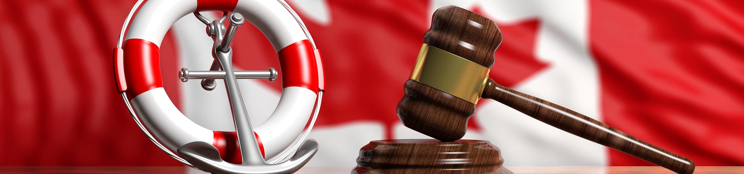 Inadmissibility-Hearing