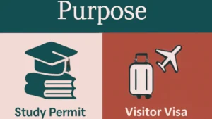 Purpose